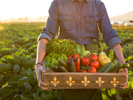 Conférence virtuelle: «Quelle autonomie alimentaire pour le Québec?»