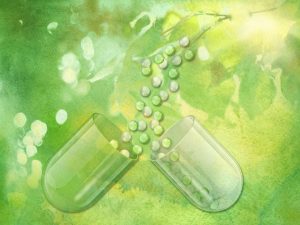 Conférence: «Une nature, une petite pilule»