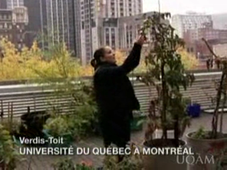 Verdis-Toit - Forces AVENIR 2008