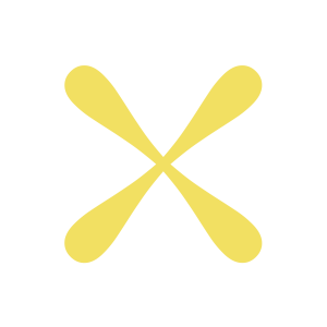 Conférence: «Science politique et féminisme – Rencontre entre deux champs»