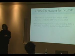 Conférence «From Neurons to Cognition»