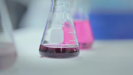 Flash sur la recherche en environnement à l'UQAM