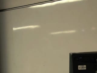Conférence «The 'critical period' debate: past